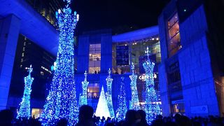 イルミネーションを見てきました