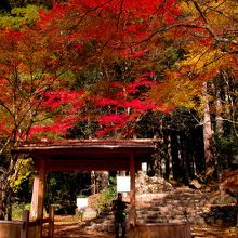 登山口（参道入り口）