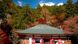登山初級者に最適、特に紅葉の時期がいい