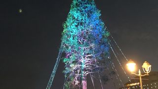 想像と違った世界一のクリスマスツリー