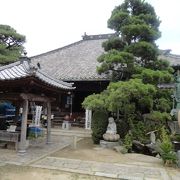 かぼちゃが有名なお寺