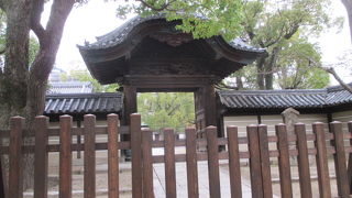 見事な屋根です