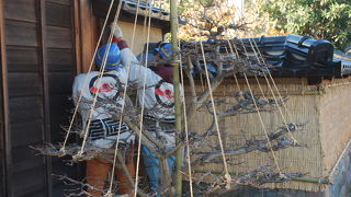 長町　土塀の冬支度