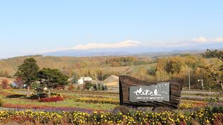 10月上旬に閉園となります。