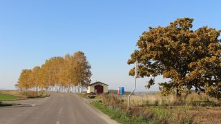 すぐ近くに大きな駐車場がありました