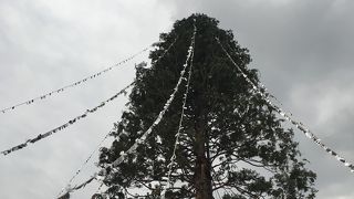 メリケンパーク 