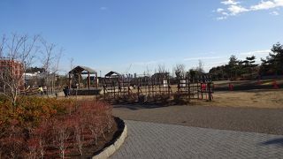 ゆったりした区民公園。
