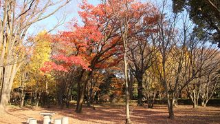 周囲の喧噪とかけはなれた感じです。