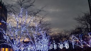 イルミネーションが素敵です