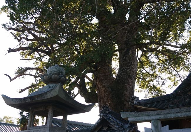 街道沿いにある小さな神社