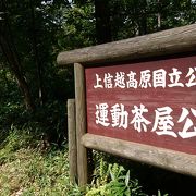 緑豊かな公園