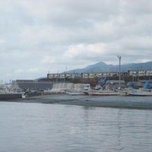 えりも漁港越しにアポイ岳を望むこともできます。