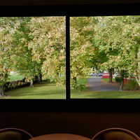 室内からはまるで額縁入り風景画を見るよう