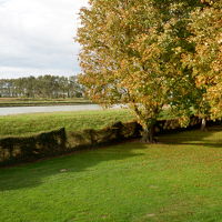 部屋から見える紅葉したのどかな散歩道に和みます