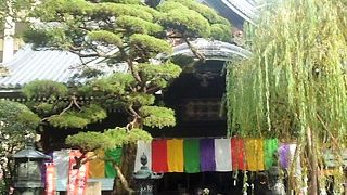 六角堂/ホテルから３分 