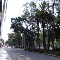 すぐ前の大通りです