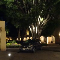 中庭を通って各棟の部屋に向かう