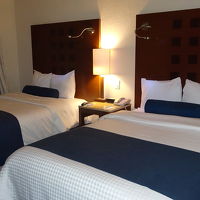 大き目のベットがどっかりと置かれている