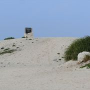 ホエールウォッチングの途中で上陸