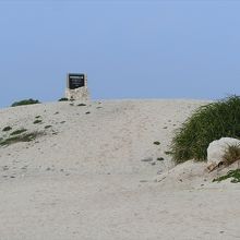 ナガンヌ島風景