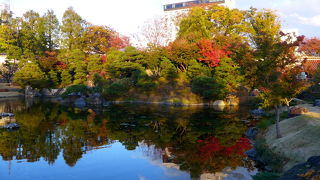 四季折々のきれいな公園　桜もいいし，紅葉もいいし　今回は紅葉