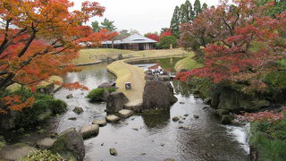 京都駅至近の紅葉名所「朱雀の庭」　2017/11/26（日）