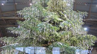 駅構内のマーケットは楽しい