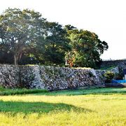 本丸の石垣のみが残る酒井忠勝の居城