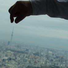 面白写真も撮れます．