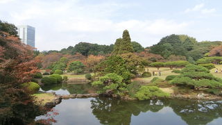 新宿御苑で最初に行って亭からの景色が良かった