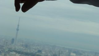 景色も含めて遊園地的ですね．