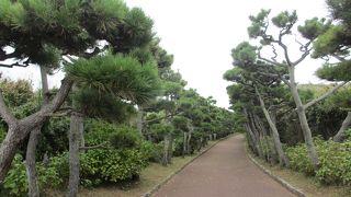 展望が素晴らしいです