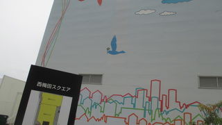 普通の広場です