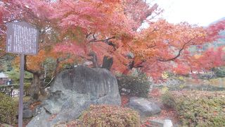 紅葉の時期に訪れました