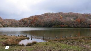 山奥の静かな池