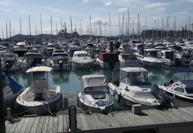 たくさんのヨット