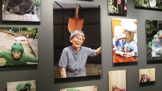 ギャラリーは撮影可でした。