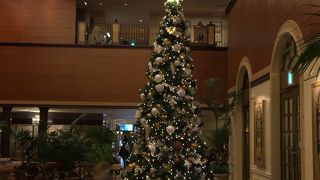 天井高く解放的