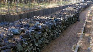 元寇防塁を見るにはいい場所と思う　史跡広場のインフォが充実