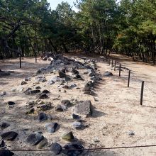 このように顔を出すだけのところも