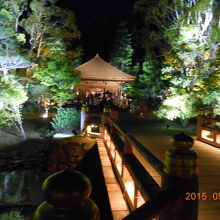 境内も素敵でした（ブレブレ・・・）