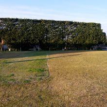 甕棺のところが緑に