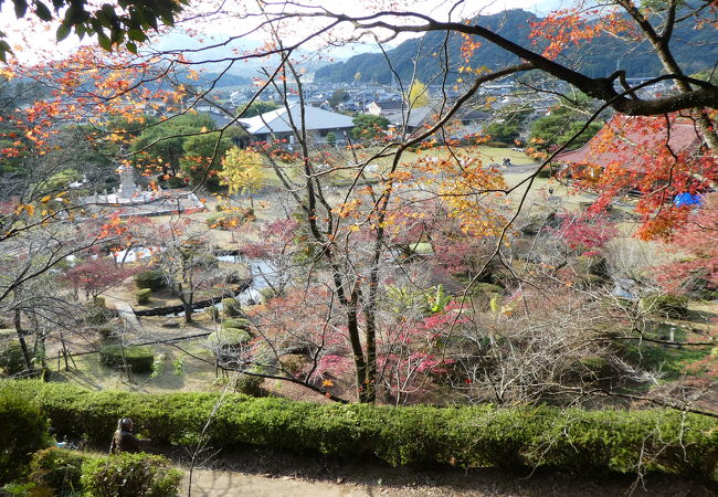 紅葉終了後だったので…