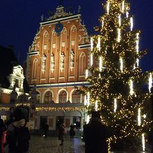 ライトアップされて綺麗