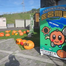 秋にはやっぱり南瓜ですね！