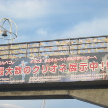 やはり一番人気はクリオネちゃんかな？