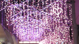 イルミネーションが華やかに輝いていました。