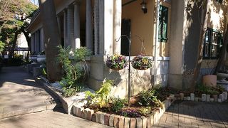 明るくて自然豊か