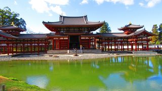 写真に納まりきれない。