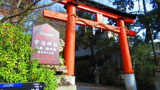 見返り兎に一目惚れ